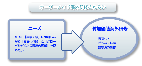 オーダーメイド海外研修のねらい