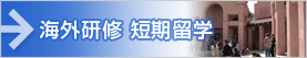 海外研修 短期留学