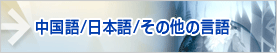 中国語/日本語/その他の言語